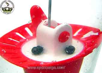 Esta foto nos muestra con todo detalle los plomos.