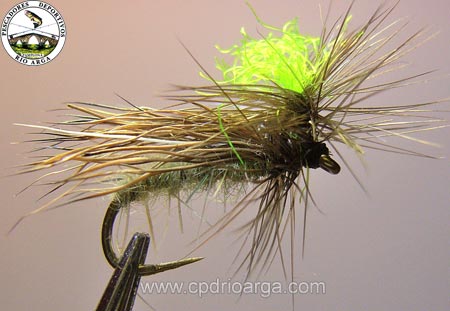 Tricóptero de ciervo trico