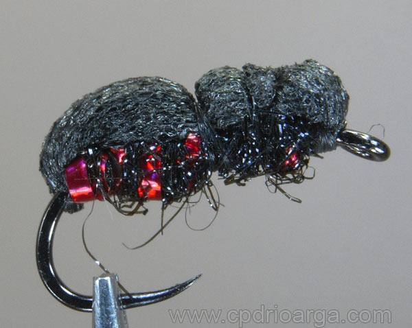 Escarabajo escarabajo