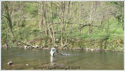 Javi metiendo ebn la sacadera una trucha javi
