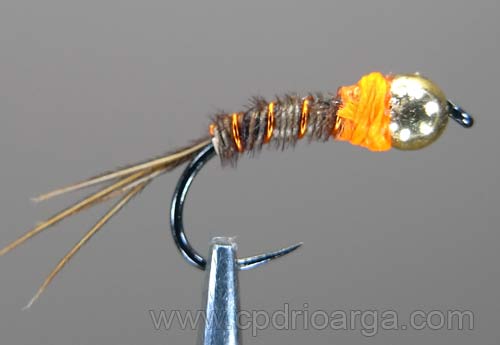 Ninfa de faisán ninfa