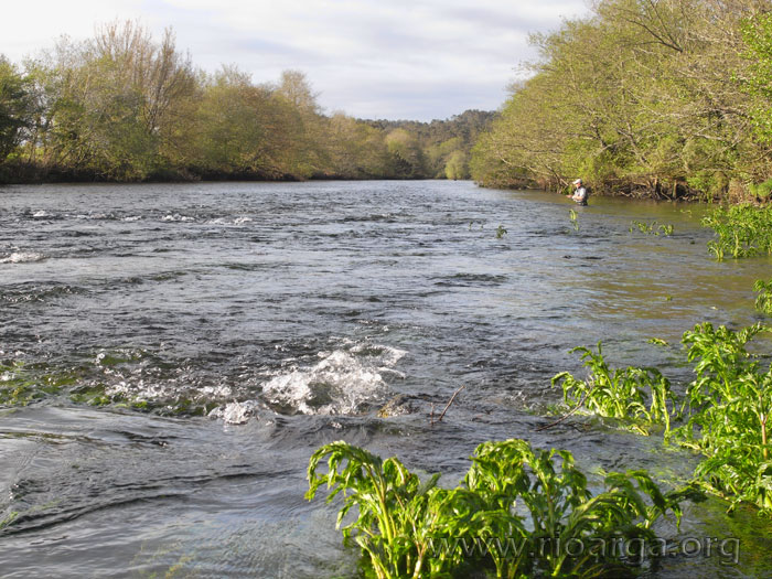 Vemos a Alberto Haro pescando en la parte final del tramo 11
