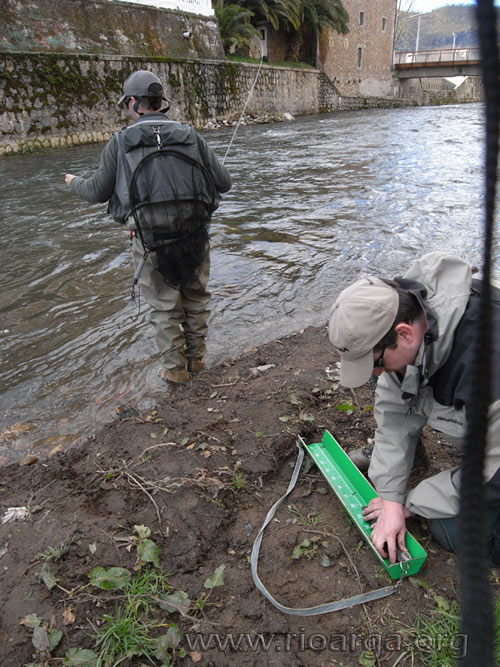 Pepe midiendo una trucha