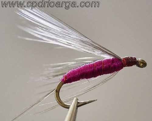 Morado-cardenal-indio