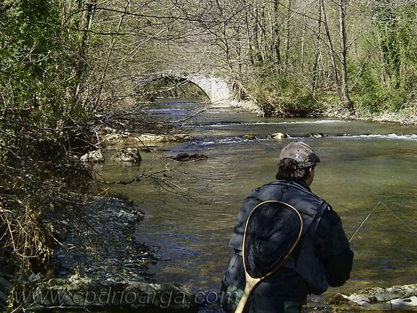 david-en-el-arga.-2003