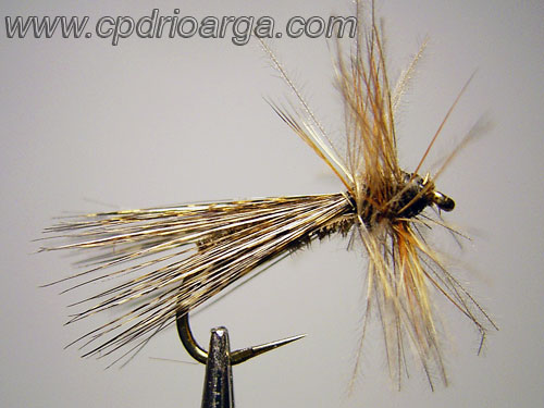 tricoplumarinonadacdc1