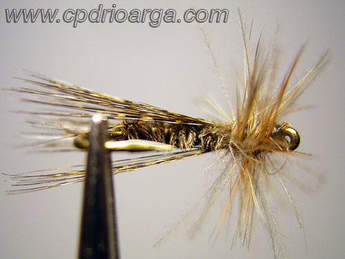 tricoplumarinonadacdc2