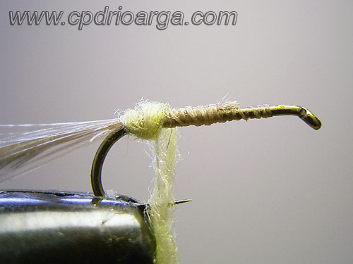 Añadimos el dubbing formando el cuerpo 4