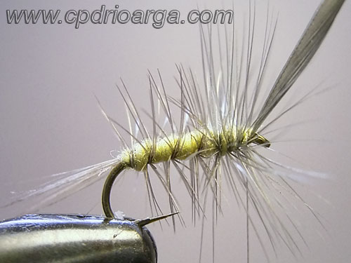 Enrollamos la pluma y anudamos. 8