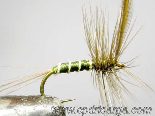 rhodani-seda-collar-7