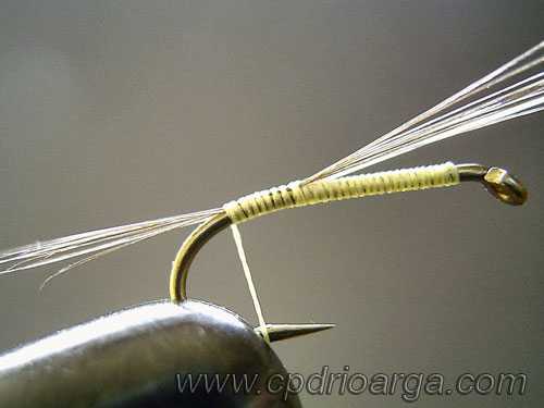 Sujetamos los cercos con el hilo de montaje que a su vez nos va a servir para hacer la brinca. ninfa betido 1