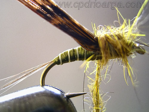 Enrrollamos el dubbing de liebre formando el tórax, este material queda un poco desmelenado el cual conferirá a la imitación una mayor sensación de vida y movimiento ninfa betido 6