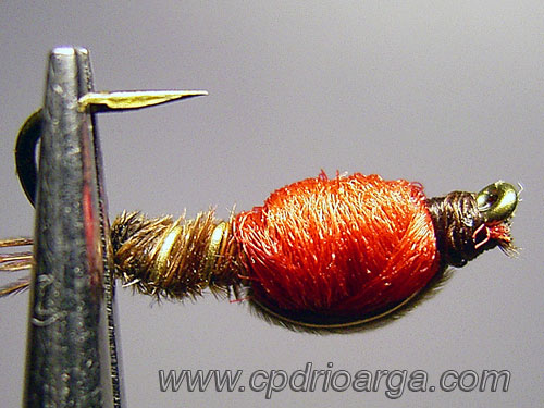 Vista desde abajo pheasanttail210