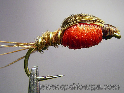 Vista del montaje terminado pheasanttail211