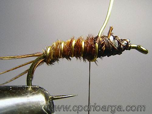 Brincamos con el tinsel pheasanttail25