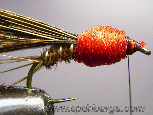 Enrrollamos el poly formando el tórax pheasanttail28