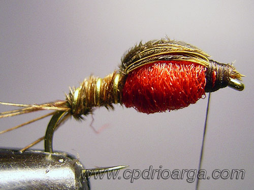 Volteamos el mechón de fibras de faisán que forma el tórax sujetándolo en la cabeza y anudamos finalizando el montaje pheasanttail29