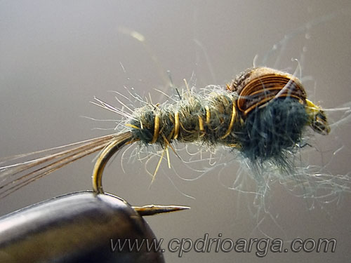 Montaje ya terminado ninfa2 baetis rhodani