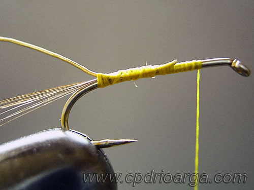 Con el hilo de montaje sujetamos los cercos y el tinsel. ninfa2 baetis rhodani 2