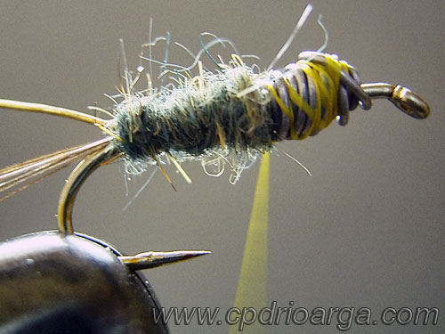 Enrollamos el dubbing en el abdomen ninfa2 baetis rhodani 4