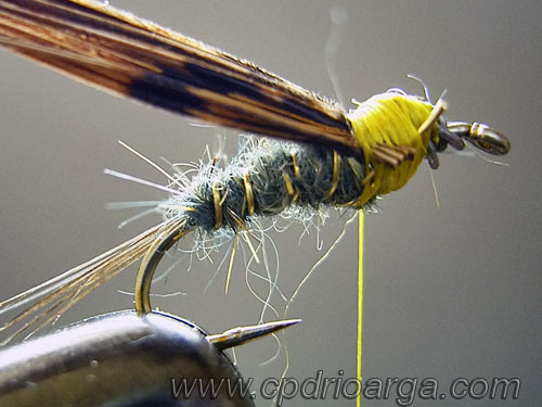 Brincamos el abdomen con el tinsel y añadimos un mechon de fibras de puma de cola de faisán con el que haremos el saco alar. ninfa2 baetis rhodani 5