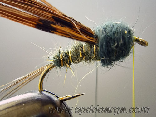 Formamos el tórax cubriendo el hilo de plomo con el dubbing ninfa2 baetis rhodani 6