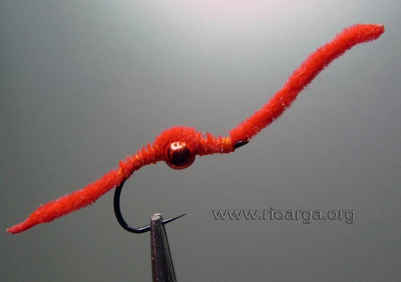 Ninfa San Juan worm lastrada