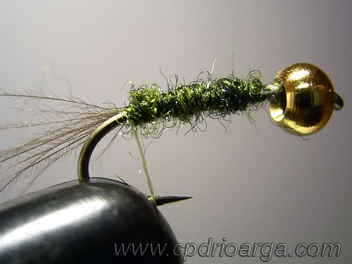 ninfa baetis rhodani cabeza dorada 3