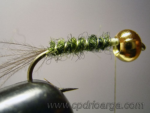 ninfa baetis rhodani cabeza dorada 4