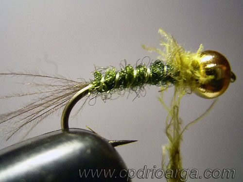 ninfa baetis rhodani cabeza dorada 5