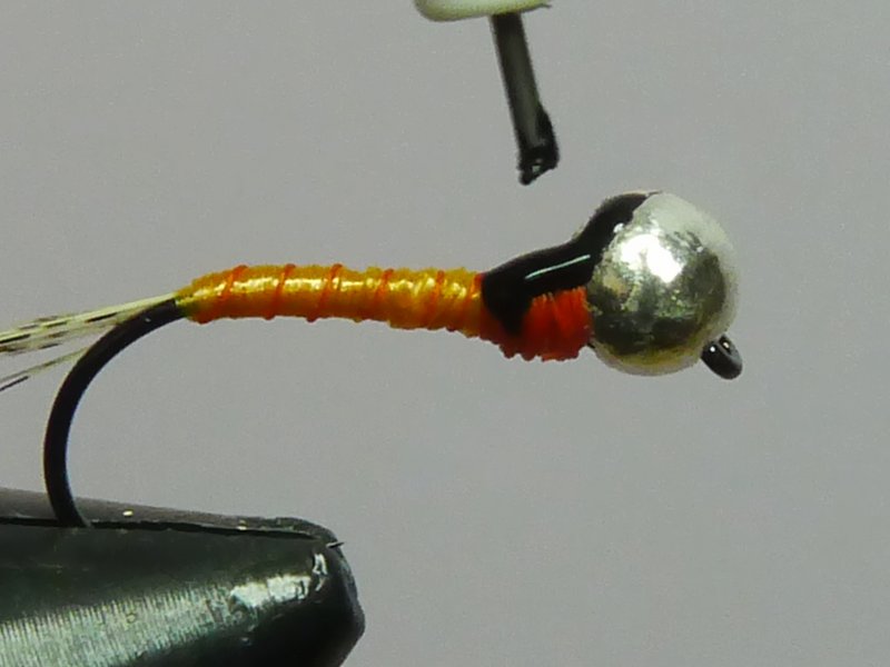 Pintamos con barniz negro el saco alar