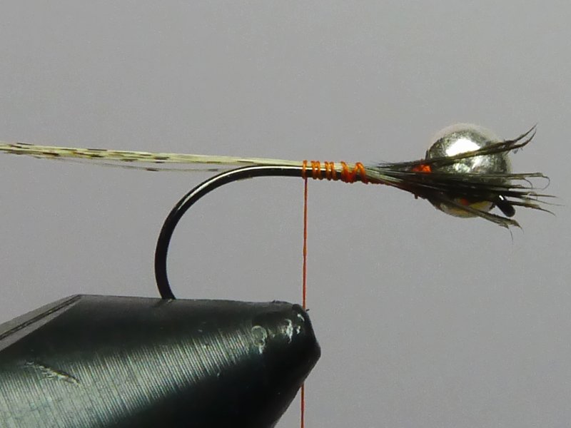 Sujetamos las fibras de pluma