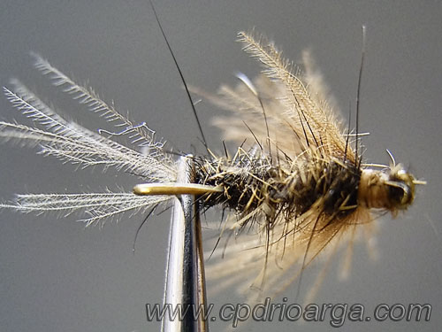 Vista desde abajo cdc1 5