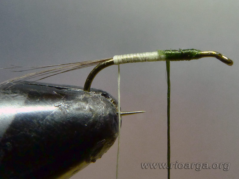 Añadimos el sedón oliva para formar el cuerpo