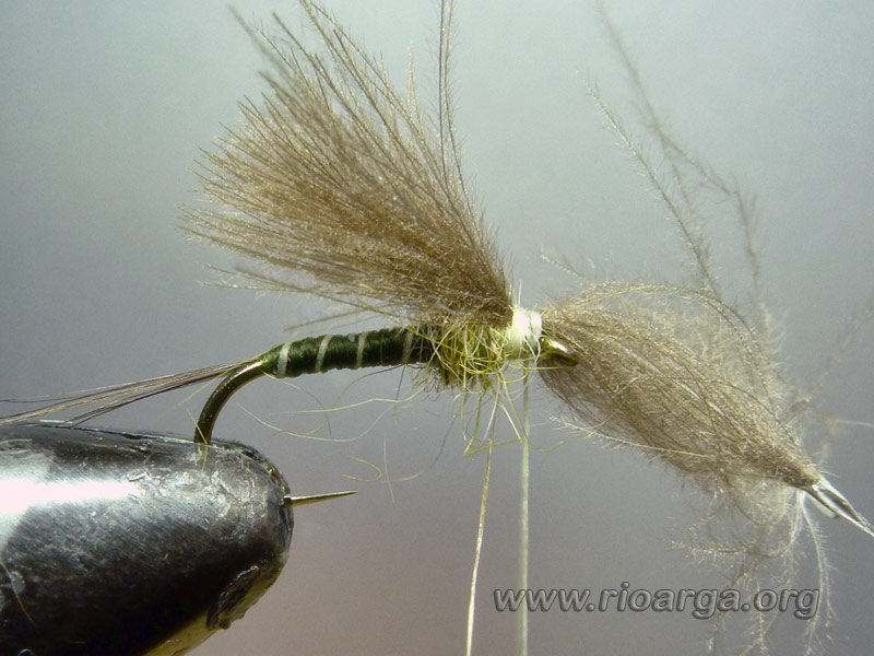 Sujetamos las plumas de cdc