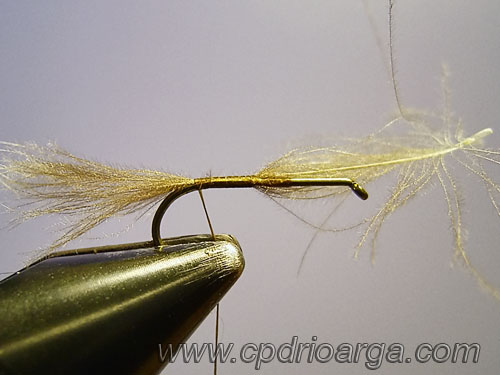 Sujetamos un mechón de CDC gris natural que servirá de exhuvia. 2