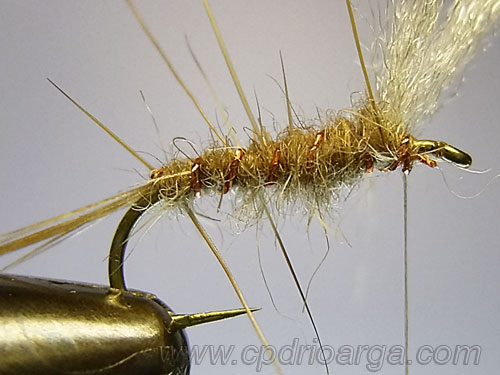 Brincamos el cuerpo parachut8