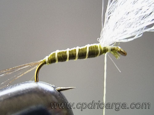 baetis rhodani parachute5