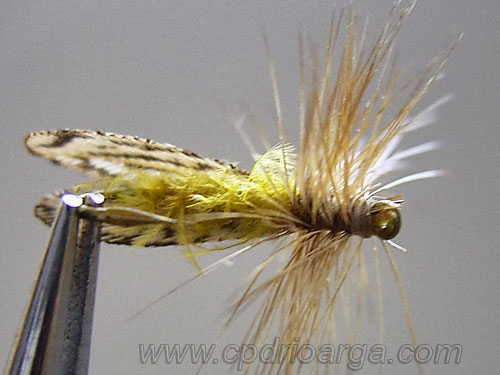 Vista desde abajo trico10