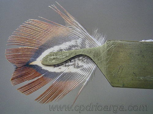 Con el quemador confeccionamos las alas trico5