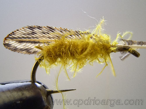 Procedemos a colocar la primera ala trico6