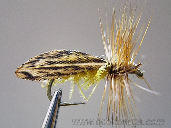 Vista del montaje terminado trico9