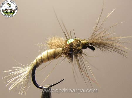 Emergente montada por Iñigo Urruuno emergenteinigourruzuno