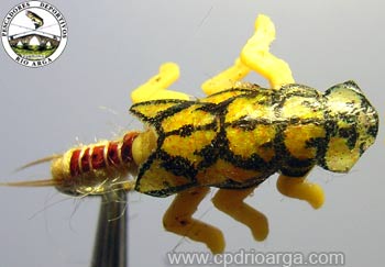 Ninfa montada por Juanma García juanma