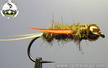 Ninfita montada por Josetxo Martínez mjosetxo