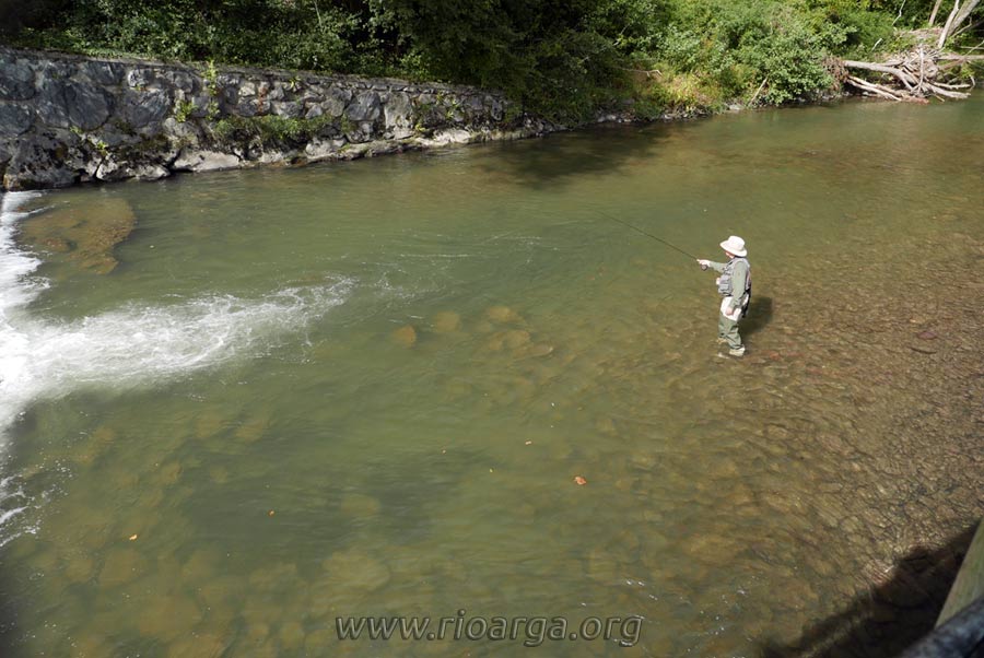 Coto pesca Leitzaran