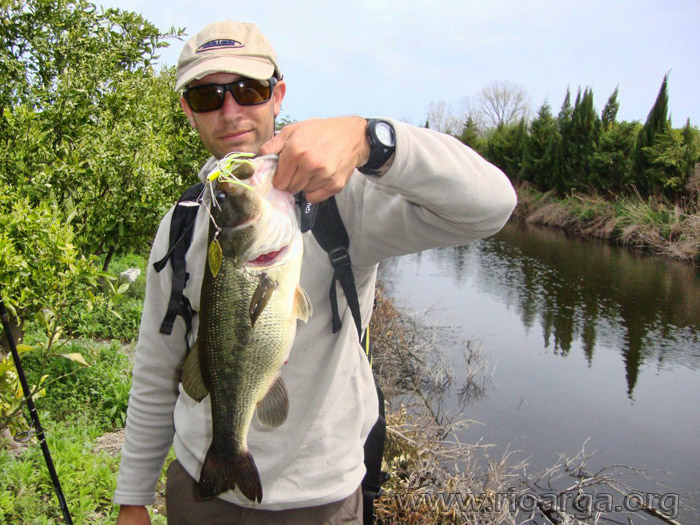 bass-46cm-pieza-mayor-del-dia