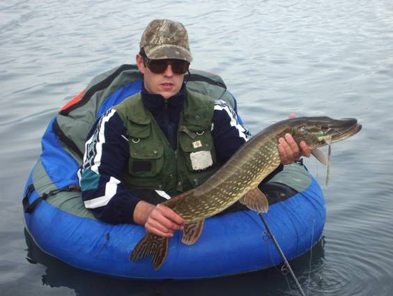 luciodesdepato clip image014