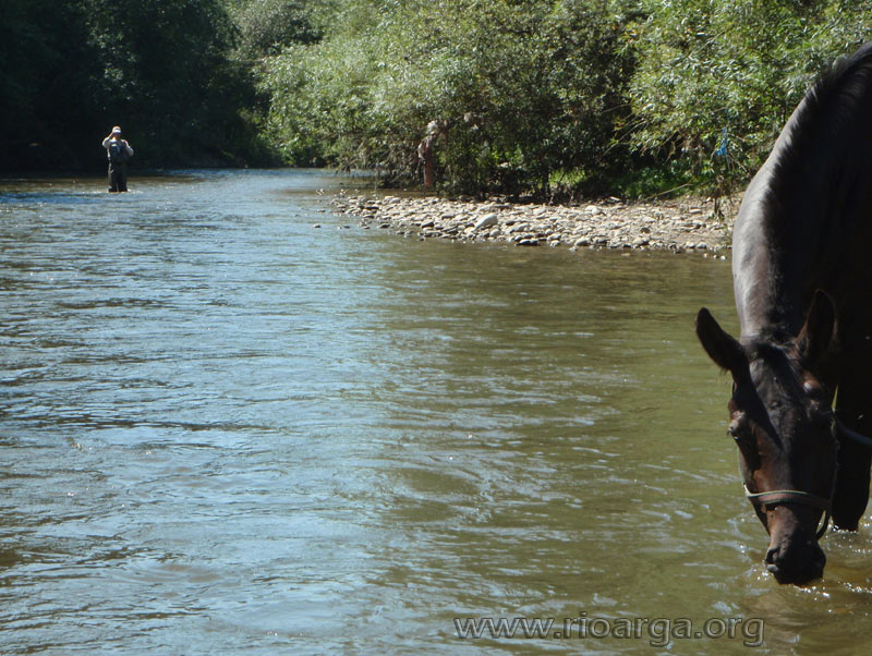 Compartimos los tramos de pesca 